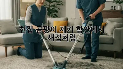 헌집 곰팡이 제거, 함안에서 새집처럼!